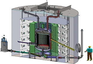 LUX detector