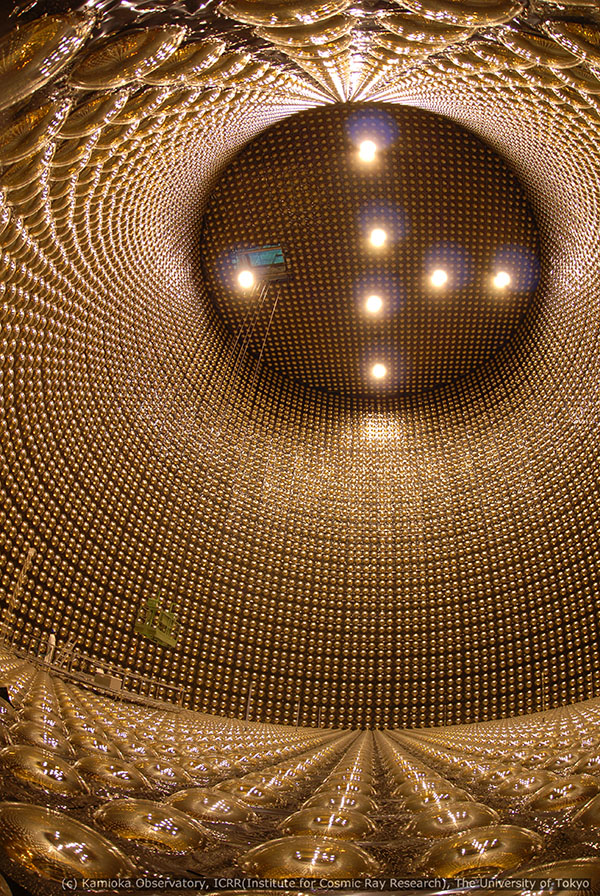 inside the detector