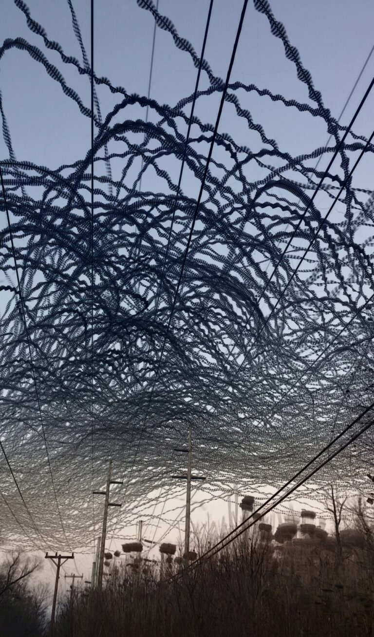 A single video frame of a small flock of crows flying over Lehigh Valley Trail.