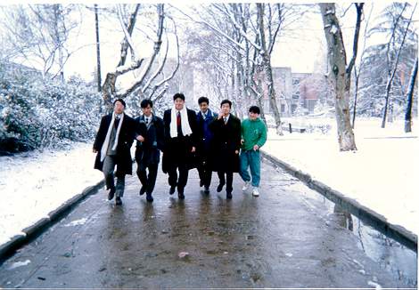 snow1.jpg (33681 bytes)