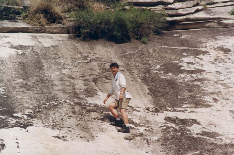 wangxl1.jpg (129381 bytes)