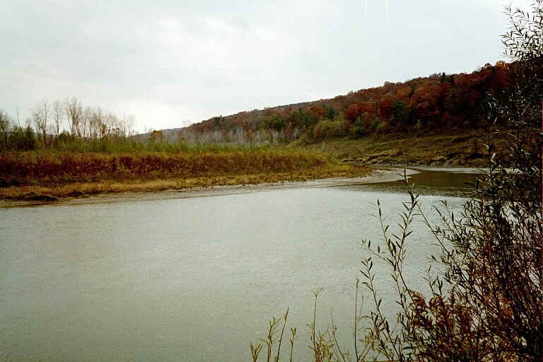 08317_11.jpg (46892 bytes)