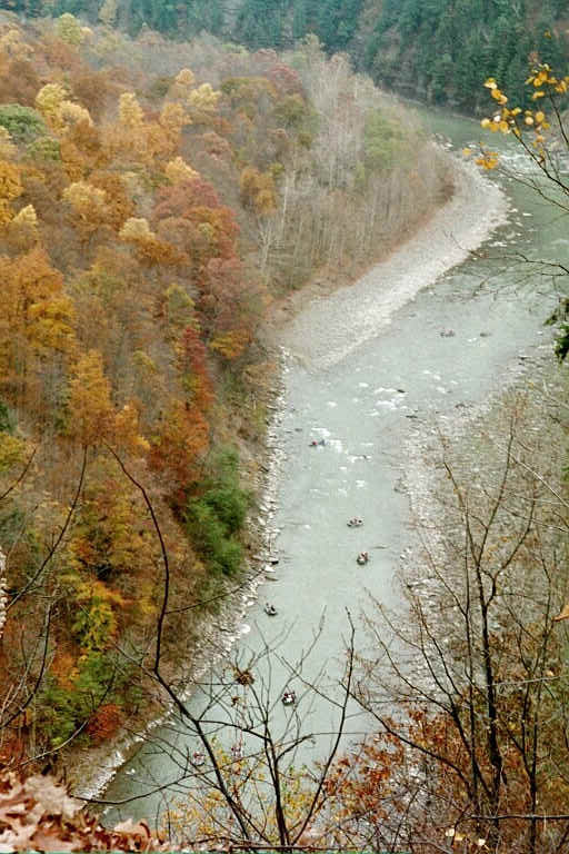 08317_12.jpg (112825 bytes)